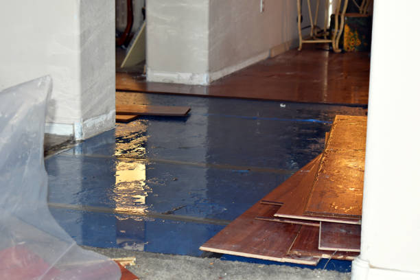Professional Sewage Cleanup technician working in Dixmont, ME